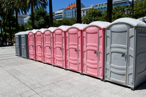 Best Standard Portable Toilet Rental  in Ovid, MI